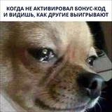 Telegram profile photo for Бабосс | Baboss casino вход