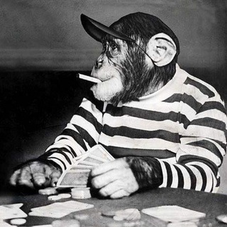 Telegram profile photo for Пикабу
