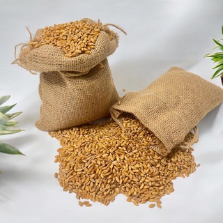 Telegram profile photo for Блог 🌾 АлтайКрупа.РФ