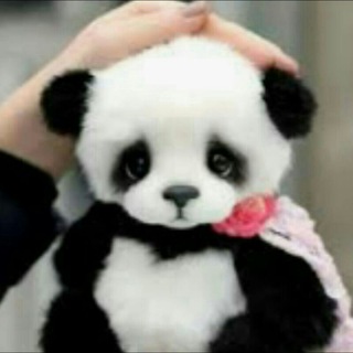 Telegram profile photo for عاشقت البانداه🐼🐼🥰💓💓