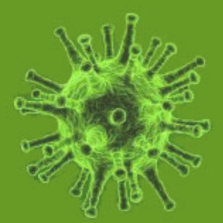 Telegram profile photo for Corona Virus Informationen 2