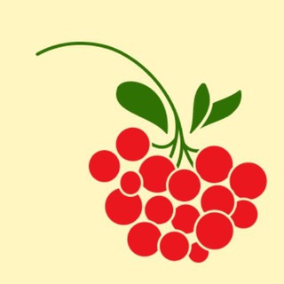 Telegram profile photo for Файно! Український Культурний Фронт
