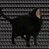 Telegram profile photo for Live Laugh and Shake Your Ass π
π
π