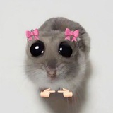 Telegram profile photo for C.