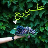 Telegram profile photo for عَطْــ🍃ـږ ږوٌـح