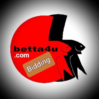 Telegram profile photo for 🐟 Betta4U Channel +6012 6280420