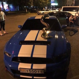 Telegram profile photo for obnalneizbezhen