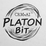 Telegram profile photo for Platon Bit Inc. | CRM Bitrix24 & AI bots