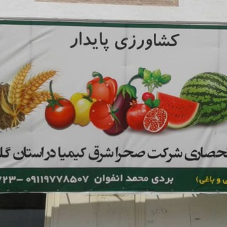 Telegram profile photo for کشاورزی نوین وپایدار ایران