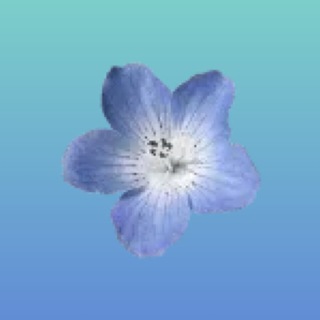 Telegram profile photo for диляркаа 🤍