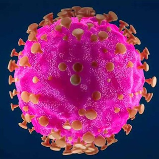 Telegram profile photo for Коронавирус LIVE COVID-19 Coronavirus