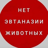 Telegram profile photo for Канал приюта "Дядя Феникс"