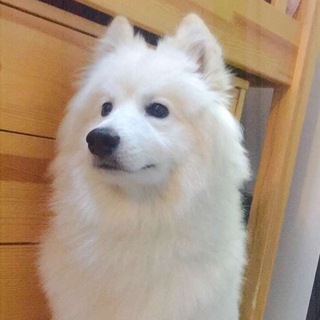 Telegram profile photo for 二舅包鱼