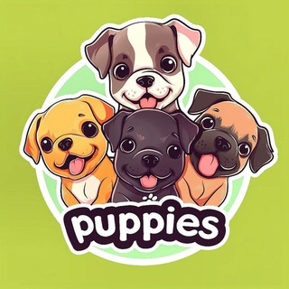 Telegram profile photo for I love puppies $puppies