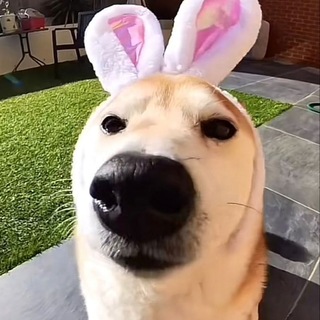 Telegram profile photo for типо биты