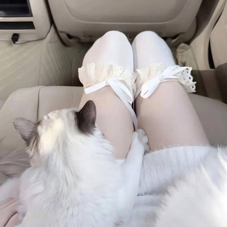 Telegram profile photo for 西安诱饵女仆恋爱展馆