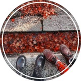 Telegram profile photo for 𝔰𝔢𝔭𝔱𝔢𝔪𝔟𝔢𝔯𝔲𝔫𝔡𝔢𝔯𝔤𝔯𝔬𝔲𝔫𝔡