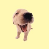 Telegram profile photo for ищем уч