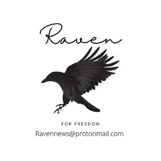 Telegram profile photo for Raven News Channel
