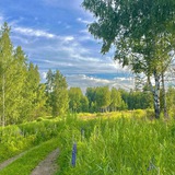 Telegram profile photo for Дом кильки