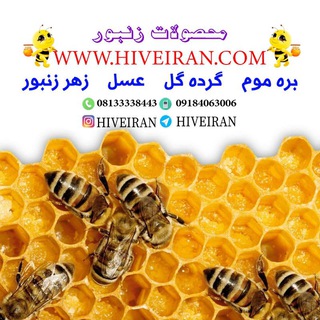 Telegram profile photo for هایو ایران