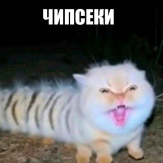 Telegram profile photo for Хво́ра|Work of heART👅