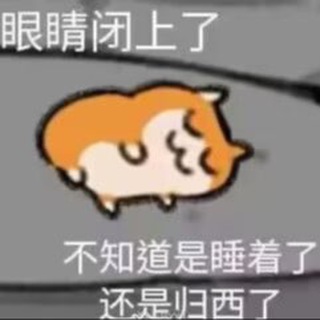 Telegram profile photo for Channel of ssr