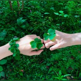 Telegram profile photo for Luckly☕️幸运九色鹿🍀