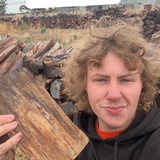 Telegram profile photo for Wood