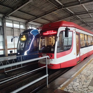 Telegram profile photo for Tрамвай|Tроллейбус|Volgograd 🚏