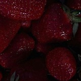 Telegram profile photo for лунный клык|анкеты