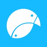 Telegram profile photo for Dicas de Marketing com a KAKOI