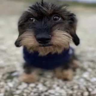 Telegram profile photo for george floyd channel