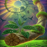 Telegram profile photo for النباتات الروحية النادرة ☘️🌱🪴🍁🍃