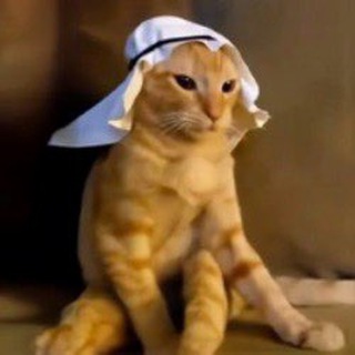 Telegram profile photo for Abu's degenerate gems ⚔️