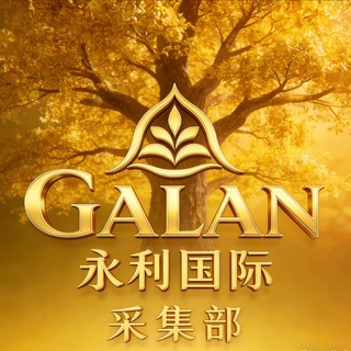 Telegram profile photo for 永利国际中专频道
