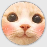 Telegram profile photo for МЕМОВНИК
