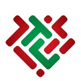 Telegram profile photo for TradingChamp.io - Автоследование Bitmex