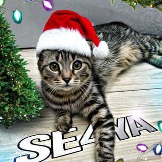Telegram profile photo for Se4yaSo2 News