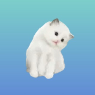Telegram profile photo for Yuno ❤️