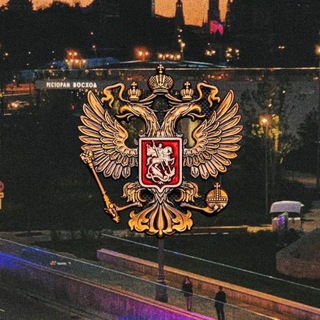 Telegram profile photo for Поиск Пропавших на СВО