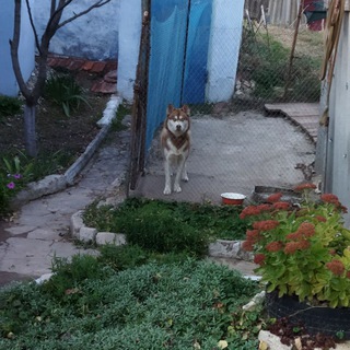 Telegram profile photo for Блядки з Зорьой secon.dfirst