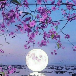 Telegram profile photo for ஜீ →Эстетичные видео, картинки←