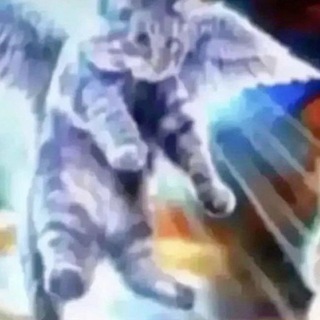 Telegram profile photo for shitpost | щитпост