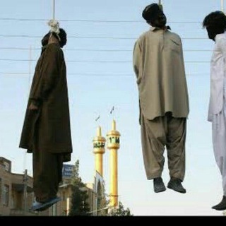 Telegram profile photo for »سرنگون باد حکومت ولایت مطلقه فقیه اسلامی، نه به اعدام