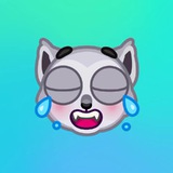 Telegram profile photo for CryptoMaster👍