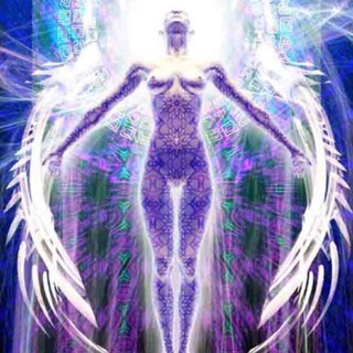 Telegram profile photo for ANGELIC HUMANS INTEL