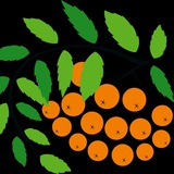 Telegram profile photo for Таллинская гимназия Хааберсти (Русская гимназия Хааберсти)