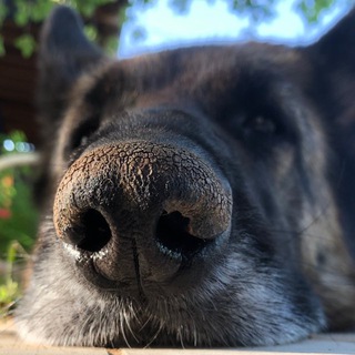 Telegram profile photo for Не блог