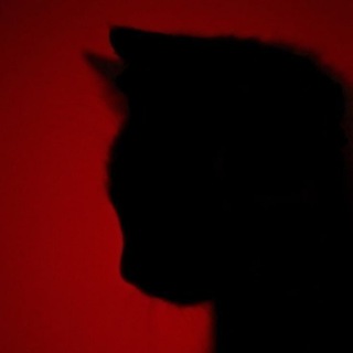 Telegram profile photo for Black kitty